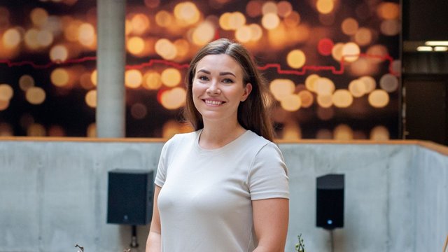 Prosjektmennesket i sjiktet mellom teknologi og business