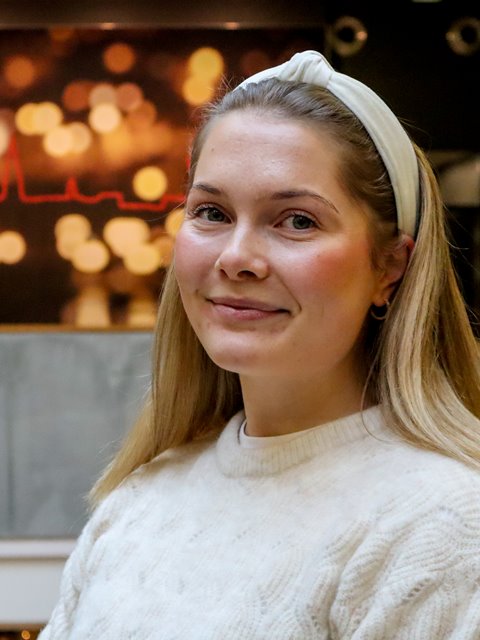 Vilde Skogdalen